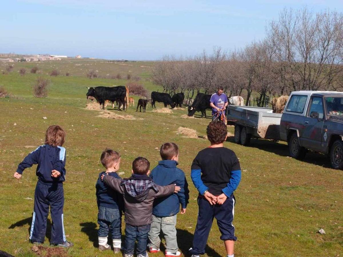 Agroturismo El Mirador De La Cigueena Cabanillas del Monte Exterior foto